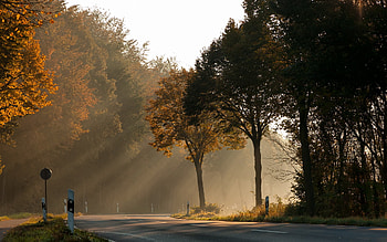 Landscape, Roads, Autumn HD wallpaper