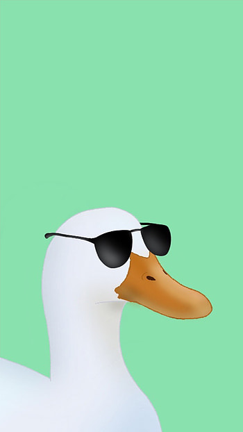Duck with sunglasses, comfy, animal, funny HD phone wallpaper