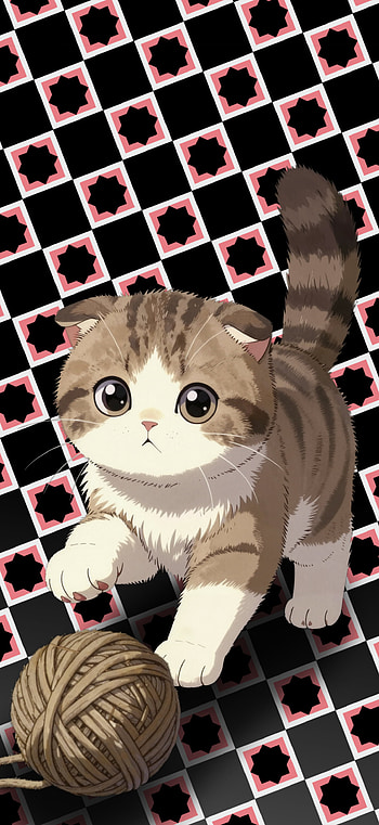 Cute Scottish Fold Kitten with patterned background, cat, kitten HD phone wallpaper