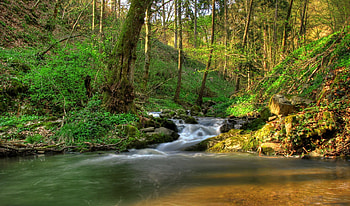 Nature, Waterfall, Vegetation, Shadows, Clearances, Gaps, Austria Klein-Pöchlarn, Austria Klein-Pehlarn HD wallpaper