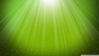Lime Green And Black - Fine HD wallpaper
