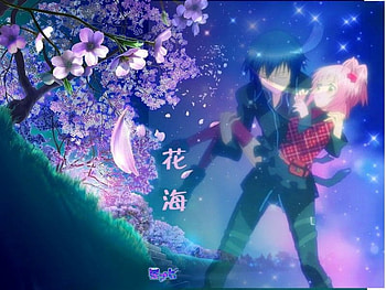 Amuto, amu, ikuto HD wallpaper