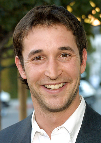 Noah Wyle, TV Shows, Unsung 90s hotties HD phone wallpaper