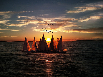 Sailboats Seascape Landscape, boat, nature, landscape, seascape HD wallpaper