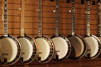 Banjo , Christopher Mercado, Musical beauty, Stringed delight HD wallpaper
