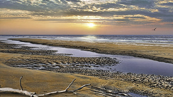 Nature, Sand, Shore, Bank, Evening, Bitches, Bough HD wallpaper