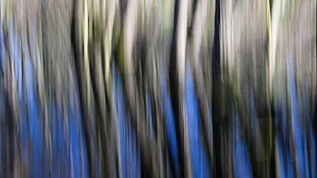 Abstract, Lines, Blur, Smooth, Stripes, Streaks, Distortion HD wallpaper
