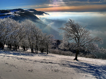 Backlight, warm, amazing, lovely, beauty HD wallpaper