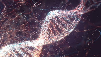 Artistic, Dna Structure HD wallpaper