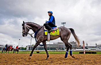 Mohaymen, Kentucky Derby HD wallpaper