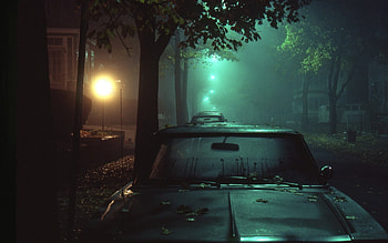 Night Shot, night, shot, graphy, tree HD wallpaper