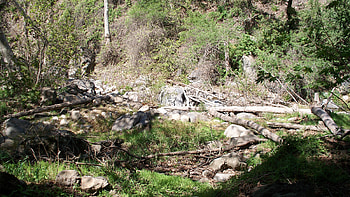 Holy jim trail, creek, nature, woods, holy jim HD wallpaper