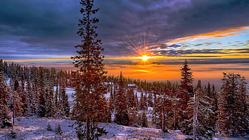 Late Winter Sunset In Norway, snow, trees, landscape, colors, clouds, sky, sun, forest HD wallpaper