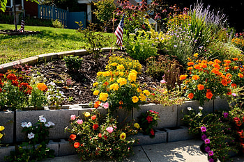 Flower Bed, summer flowers, scenic flowers, flower garden HD wallpaper