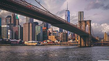 Brooklyn Bridge, Zoey Walker HD wallpaper