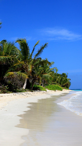 Puerto Rico beaches, Tropical paradise escape, Stunning coastal beauty, Caribbean getaway HD phone wallpaper