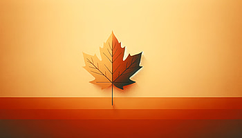 Minimalist Fall Leaf, leaf, fall colors, minimalist, Autumn, decoration HD wallpaper
