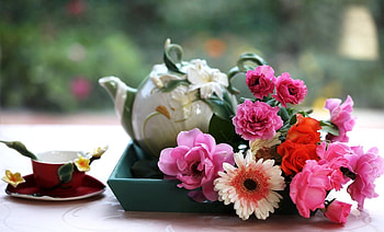 Flowers, Roses, Cup, Table, Tea, Gerbera, Tray HD wallpaper