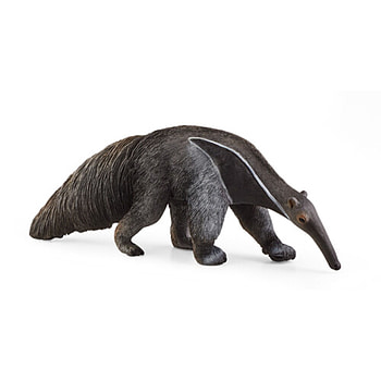 Anteater, Fascinating, Mammal, Curiosity HD phone wallpaper