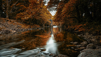River, water, forest, rocks HD wallpaper