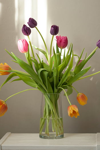 Colorful tulip bouquet in a glass vase against a neutral background, showcasing bright spring blooms. HD phone wallpaper