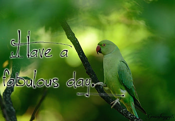 FABULOUS DAY, DAY, COMMENT, FABULOUS, CARD HD wallpaper