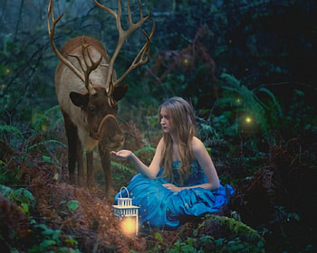 Enchanted Garden, girl, forest, deer, lamp HD wallpaper