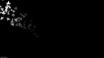 Black and white flowers HD wallpaper
