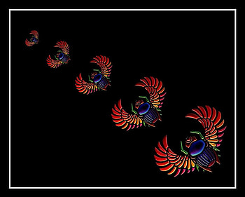 Scarab, artwork, abstract, egyptian, fantasy, ra HD wallpaper