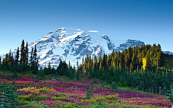 Landscape, Nature, Flowers, Sky, Mountain, Ate HD wallpaper