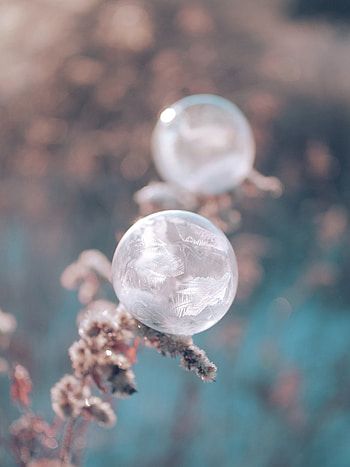Ice, Plant, Macro, Ball, Frost HD phone wallpaper