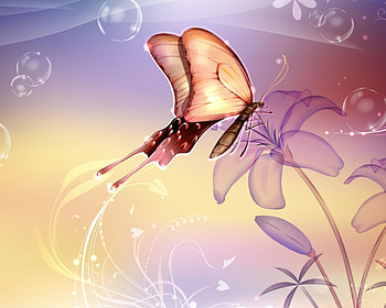Butterfly-Nature-Mexico-Abstract-Flowers-Lavender--- HD wallpaper