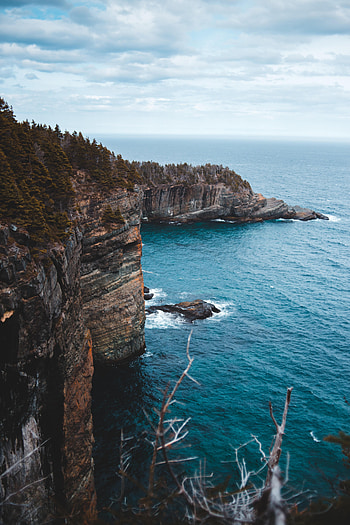 Nature, Rocks, Branches, Break, Precipice, Surf HD phone wallpaper