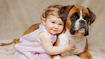 Cute Child Girl Toddler Is Sitting With Dog Posing For A On Bed Cute HD wallpaper