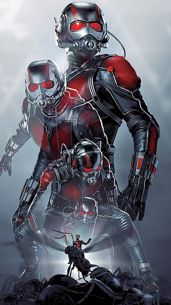 Ant Man, Avemgers Ant Man, avengers ant man HD phone wallpaper