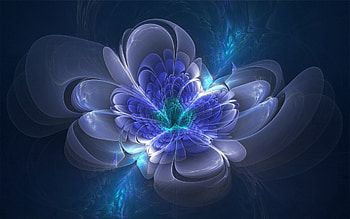Abstract, Shining, Flower HD wallpaper