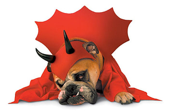 Happy Halloween!, bulldog, animal, dog, halloween, costume, red, caine, demon HD wallpaper