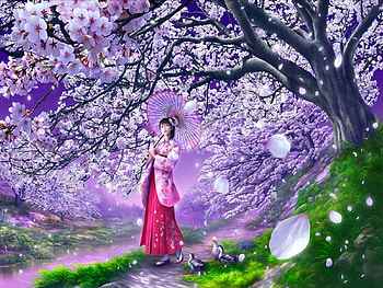 Cherry Blossom Walk, ducks, blossom, cherry, walk HD wallpaper