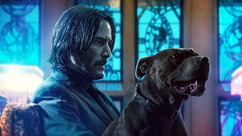 Daisy, John Wick HD wallpaper