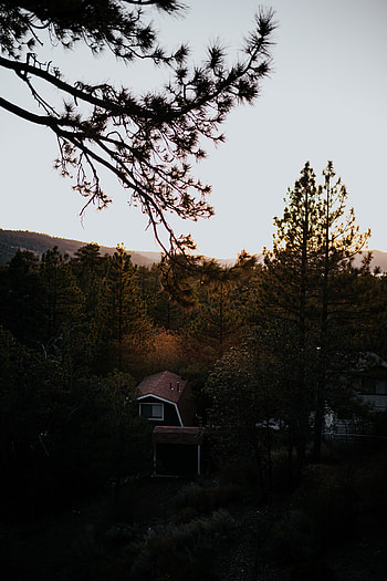 Nature, Trees, View From Above, Forest, House HD phone wallpaper