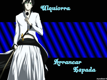espada, dounut305, nabyboy HD wallpaper