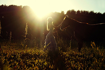 * Friends *, horse, nature, friendship, girl, sun, friends HD wallpaper