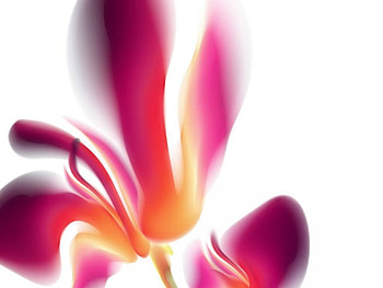 Red Abstract Flower, abstract, hazy, red, flower HD wallpaper