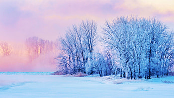 Dreamy cold sunrise, Montreal, winter, snow, colors, clouds, landscape, trees, sky, ice, canada HD wallpaper