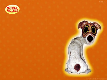 TW 3, funny, entertainment HD wallpaper