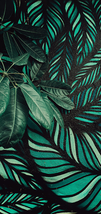 Art, Leaves, Plant, Miscellanea, Miscellaneous, Wall HD phone wallpaper