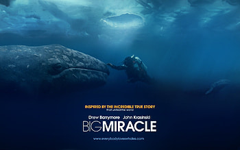Big Miracle , Beautiful ry, Visual splendor, Memorable backdrop HD wallpaper