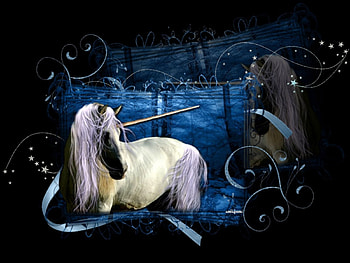 white unicorn, night, unicorn, white, being HD wallpaper