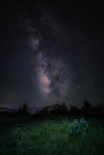 Nature, Grass, Mountains, Night, Starry Sky, Milky Way HD phone wallpaper