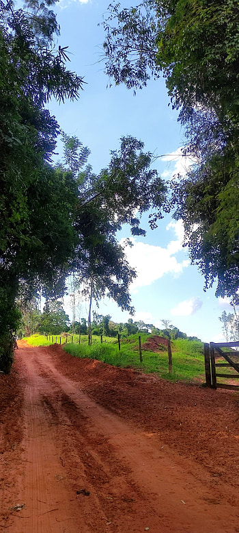 Made in Roça, sitio, terra, rural, estrada, fazenda, roca HD phone wallpaper